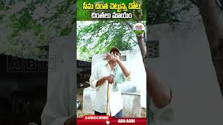 ఎనకట ఎక్కడబడితే అక్కడుండేవి ఈ చెట్లు చాలా ప్రొటీన్స్ ఉండే కాయలు దీనివి   ABN Agri shorts [upl. by Haibot]