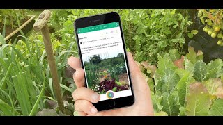 Journal Your Vegetable Gardening Progress [upl. by Glick]