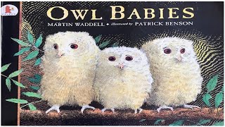 Owl Babies [upl. by Krissy]