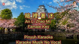 An Li Zhao Mi  暗裡著迷  Karaoke  Musik No Vocal [upl. by Symons]