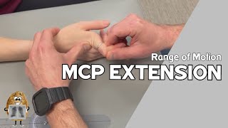 ROM Metacarpophalangeal MCP Joint Extension Range of Motion [upl. by Dennie]