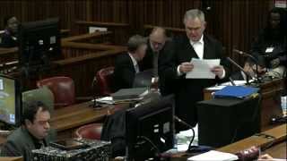 Oscar Pistorius Trial Tuesday 15 April 2014 Session 2 [upl. by Siroved645]