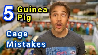 5 Guinea Pig CAGE Mistakes [upl. by Nosmas]