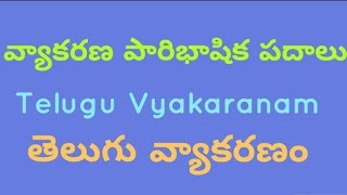 వ్యాకరణ పారిభాషిక పదాలువివరణలు  Telugu Vyakaranam  భాగం2 [upl. by Haleelahk]