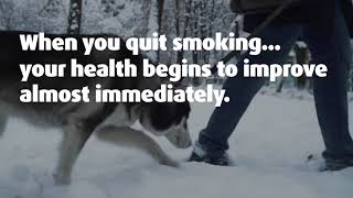 Stay Healthy amp Quit Smoking [upl. by Ainoek431]