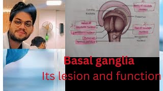 ranvijaymbbs Basal Ganglia  its part lesion and function [upl. by Yarak]