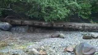 Treadwell Historical Mine Trail Juneau AK [upl. by Torey30]