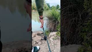 Carp run 🤩🤩 carping fishing carpingwithchris snidetackle carpangler trending carpangler [upl. by Robina]