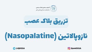 تزریق بلاک عصب نازوپالاتین Nasopalatine  دکتر اشکان بادکوبه [upl. by Ayhtin]