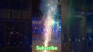 Tricolour flowerpot bollywood song newsong music tseries fireworks shorts reelitfeelít [upl. by Guzel917]