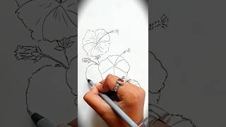 flower ✍️🌺youtubeshorts artist trendingshorts drawing shortvideo sketch shorts [upl. by Hughes]