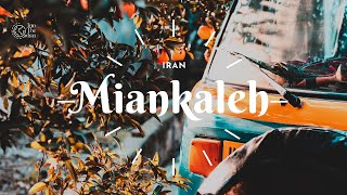 MIANKALEH IRAN 2021  RESTRICTED AREA  BEHSHAHR MAZANDARAN  منطقعه حفاظت شده میانکاله بهشهر [upl. by Ylrebmic]