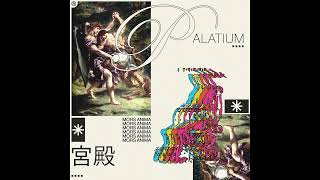 mors anima  palatium [upl. by Mellicent]