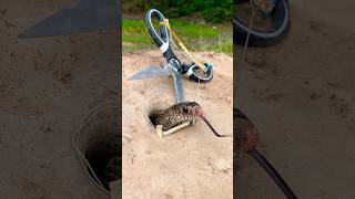 DIY Snake Trap shortvideo pestcontrol shorts [upl. by Phenica]