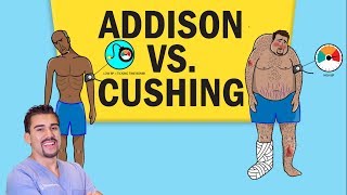 Addisons vs Cushings Disease for NCLEX RN [upl. by Enived]