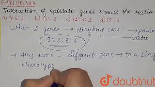 Interaction of epistatic genes shows the ratio  CLASS 12  HEREDITY AND EVOLUTION  BIOLOGY  A [upl. by Clifton]