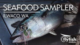 SEAFOOD SAMPLER Albacore Tuna on the Fly in Ilwaco WA [upl. by Ness480]