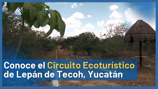 😁 Circuito Ecoturístico de LEPÁN una EXCELENTE opción para ECO TURISMO 🌳  TELE Yucatán [upl. by Moureaux]