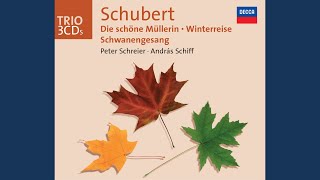 Schubert Winterreise D911 24 Der Leiermann [upl. by Codd]