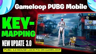 PUBG MOUSE CURSOR FIX  PUBG 30 update  Gameloop Mouse Lock amp Keymapping Fix  NEW UPDATE FIX 30 [upl. by Chretien]