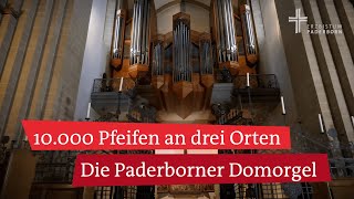 Domorgel im Paderborner Dom Blick hinter die Kulissen der drittgrößten Orgel Deutschlands [upl. by Venditti]