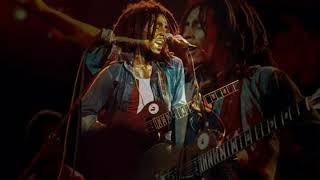 Marley Live Deluxe 75 HD  Stir It Up [upl. by Seerdi]