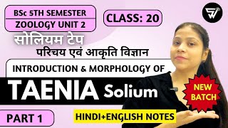 Introduction amp Morphology of Taenia SoliumCtenophora to NemathalminthesBSc 5th Semester ZOOLOGY [upl. by Ck550]