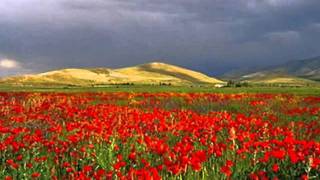 Armenian folk song  Bingyol [upl. by Sueahccaz]