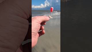 How To bait A Pompano Rig With Cut Shrimp And fishbites To Catch fish On The beach surffishing [upl. by Enimajneb]