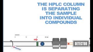 How HPLC Columns Work [upl. by Bui]