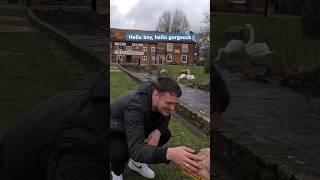 Banned Muzzled XLBully Grabs A Mans Hand And Touches His ❤️ dog puppy xlbully love dogwalk [upl. by Harihs]