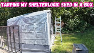 Tarping my ShelterLogic shed [upl. by Araeit]