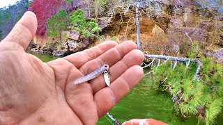 A Fishing Bait That Crappie Simply Cant Resist [upl. by Heti502]