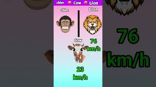 Chimpanzee Vs Lion Vs Cow BATTLE shorts vs [upl. by Neetsirhc]