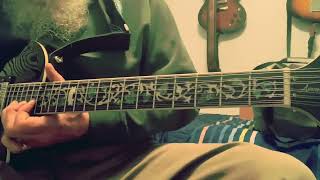 Firefly Aerosonic 12 string [upl. by Eseilenna]