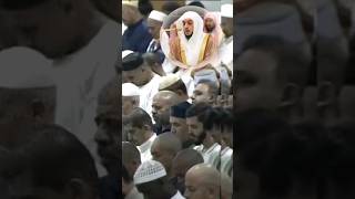 sheikh shamshan shorts heart touching voice Sheikh Shamshan shorts [upl. by Jedthus]