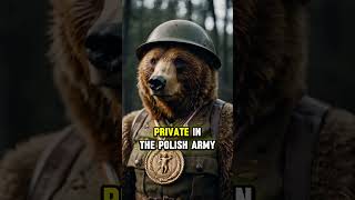 The Incredible True Story of Wojtek the War Bear 🐻⚔️ [upl. by Ttehc847]