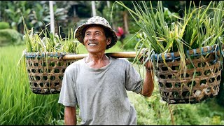 Indonesia Cinematic travel video Panasonic GX80 GX85 [upl. by Nocaj126]