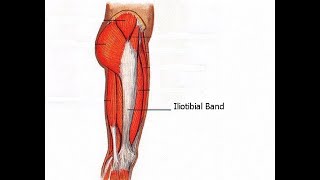 Two Minutes of Anatomy Iliotibial Band IT Band ITB [upl. by Imuy]