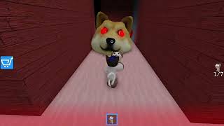 Roblox Doge Head Escape cats [upl. by Noemis894]