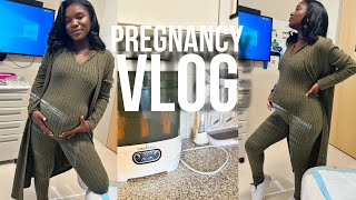 3rd Trimester Pregnancy Vlog Labor Prep Meeting Doctors  Nesting [upl. by Reinhard]