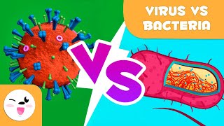 Viruses Vs Bacteria  What are their differences [upl. by Vierno]