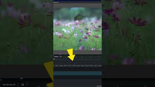 Blending Videos in Kdenlive shorts tutorial kdenlive editing opensource videoediting [upl. by Lerad]