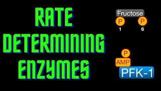 USMLE Step 1  Lesson 53  ratedetermining enzymes [upl. by Emlyn421]