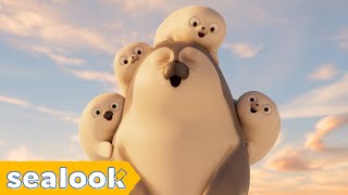 Baby Seals’ Hotspot🔥  SEALOOK  EP110 [upl. by Nitsrek]