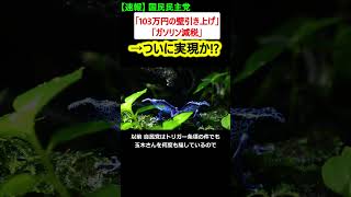 103万円の壁 ついに撤廃か国民民主党勝利へ【政治ニュース】 [upl. by Atinit]