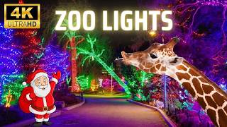 Calgary Zoo Lights 4K Walking Tour Over 1 Million Christmas Lights [upl. by Aicilyhp]