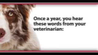 The Test Your Pet Should Take [upl. by Barrett]