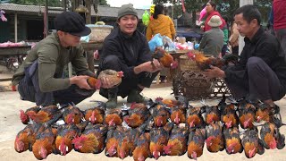 Zon happily goes to the market to sell chickens after the disease outbreak at the farm [upl. by Adoh376]