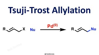 TsujiTrost Allylation [upl. by Aisel]